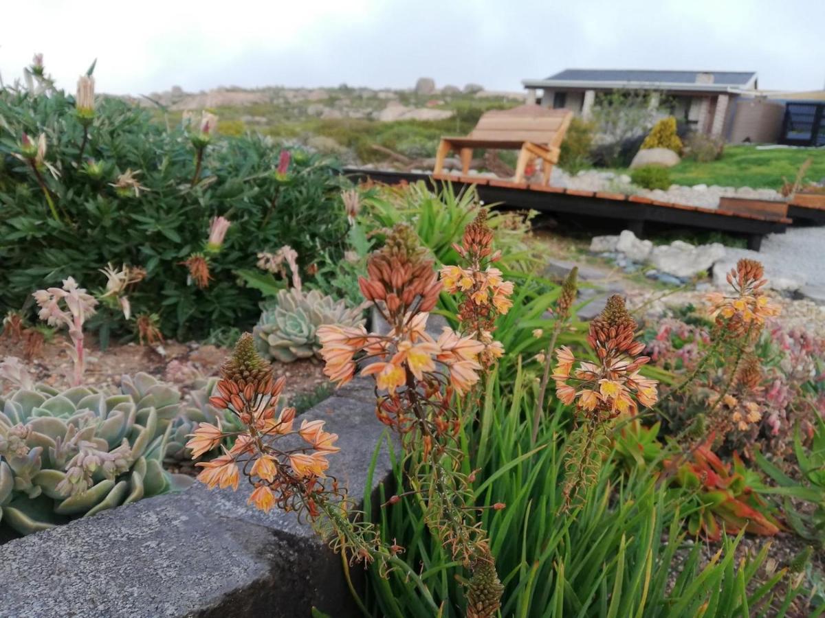 Onze Uitsight Cottage St Helena Bay Exteriör bild