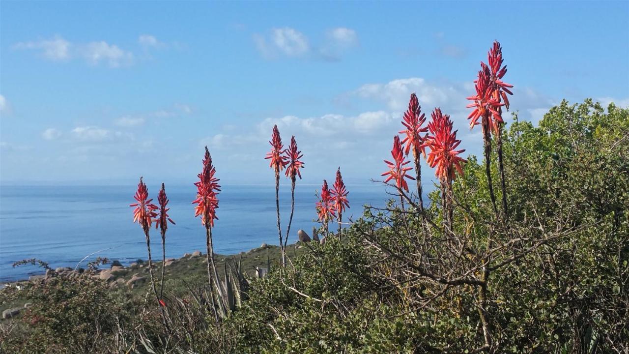 Onze Uitsight Cottage St Helena Bay Exteriör bild